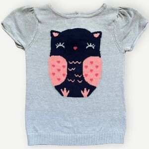Crazy 8 Girls Toddler Kids Short Sleeve Knit Pullover Owl Sweater. 4. 4T.